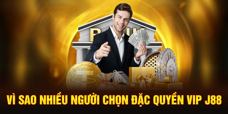 vi-sao-nhieu-nguoi-chon-dac-quyen-vip-j88